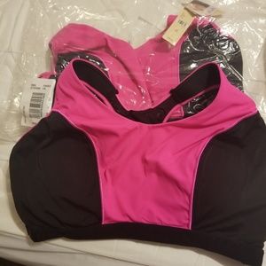 Cacique sports bras